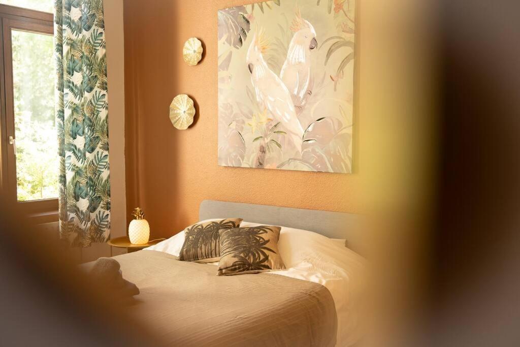 Camelia, Un Charme Montois Villa Mons Ngoại thất bức ảnh